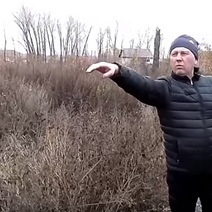 В Кувандыке отец троих детей может оказаться в тюрьме за вырубку аварийных деревьев