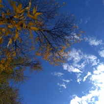 Погода на выходных не будет комфортной