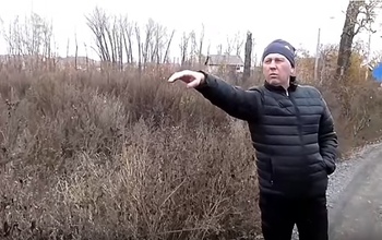 В Кувандыке отец троих детей может оказаться в тюрьме за вырубку аварийных деревьев