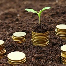 В Оренбургском районе глава села отдала землю в аренду сыну за смешные деньги