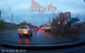 Ночной ураган в Оренбурге ломал деревья