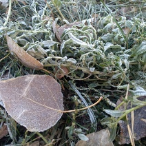 Погода на праздничные выходные в Оренбуржье