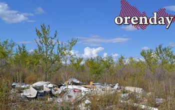 В посадках Оренбурга площадь стихийных свалок достигает нескольких сотен квадратных метров