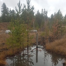 Директор национального парка 