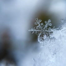 Над Оренбургом закружились первые снежинки