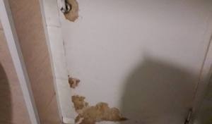 В соцсетях снова обсуждают оренбургское здравоохранение