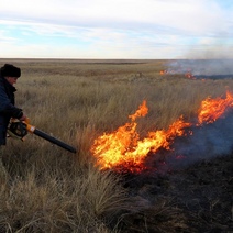 Из-за горе-рыбаков в Оренбуржье полыхнула степь