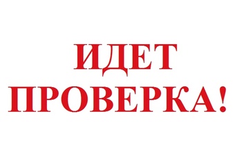 В Оренбурге Ространснадзор проверяет «Яндекс-автобусы» 
