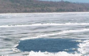 Тело утонувшего на Ириклинском водохранилище подводного охотника нашли спасатели 