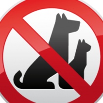 В Роспотребнадзоре региона рассказали об основных правилах пользования такси