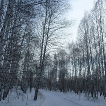 В Бугуруслане за 