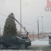 Праздник закончился: в Оренбурге начали убирать елки