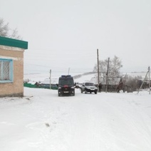 Все жители села в Оренбуржье, где на дороге нашли тело младенца, сдали на анализ ДНК (18+)