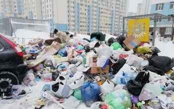 В Оренбурге из-за неудачно припаркованной машины три дня не могли вывезти мусор