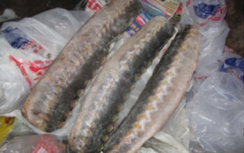 В Оренбуржье на границе задержали 3,9 тонны опасной продукции