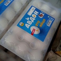 Оренбургский ответ 