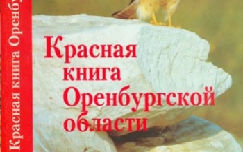 Какие растения и животные попали в прошлом году в Красную книгу Оренбургской области 
