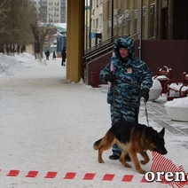 Тревожные сообщения, всполошившие сегодня Оренбург, не подтвердились