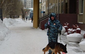 Тревожные сообщения, всполошившие сегодня Оренбург, не подтвердились