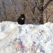 В оренбургской мэрии озаботились горами снега