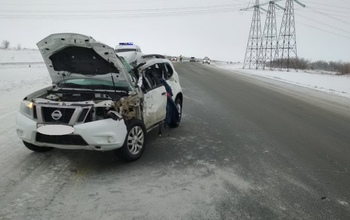 В Гае на водителя грузовика, перевозившего свиней, завели уголовное дело