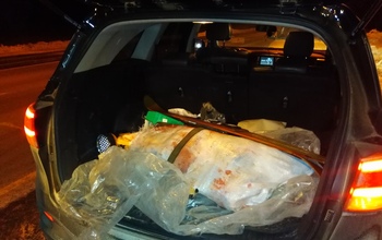 В Шарлыке задержали браконьера, подстрелившего косулю (18+)