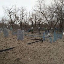 Оренбургских коммунальщиков заставили вручную вычищать грязный снег с могил