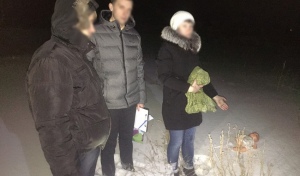 В Оренбуржье мать, бросившую новорожденного умирать, оставили на свободе (18+)
