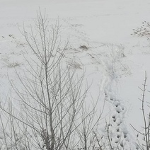 По факту гибели оренбургского рыбака проводится доследственная проверка