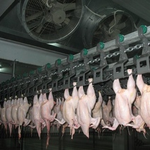 Продукция оренбургского цеха 