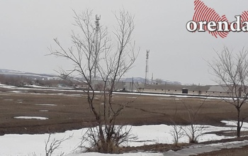 В Кувандыкском городском округе тающий снег обнажил трупы животных (18+)