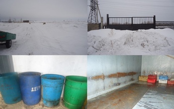 В убойном пункте пос. Джанаталап нашли многочисленные нарушения