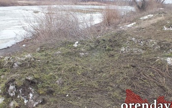 В Оренбурге на озере Коровье коммунальщики прибрали берег, а в воде по-прежнему плавают елки 