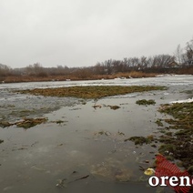 Прокуратура Оренбурга проверит загрязнение озера Коровье