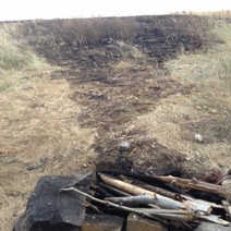 Пришло тепло, в Оренбуржье начала гореть степь