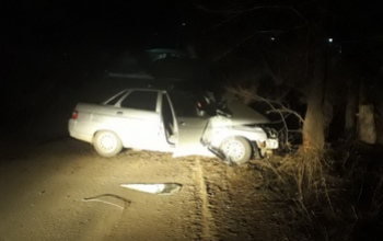 В Новоорском районе подросток на ВАЗе врезался в дерево