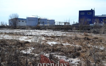 Что за вонь в Пригородном?