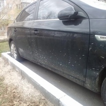 В Оренбурге коммунальщики перестарались и покрасили вместе с бордюром машины