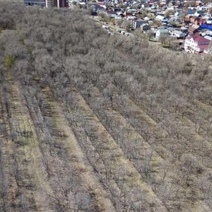 Оренбуржцы просят благоустроить новый парк