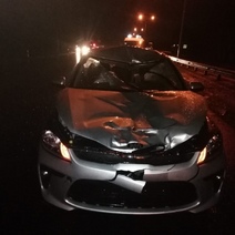 На трассе Оренбург - Орск насмерть сбили пешехода