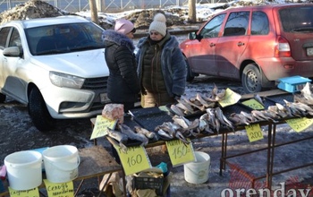 На стихийные рынки в Оренбурге нет управы