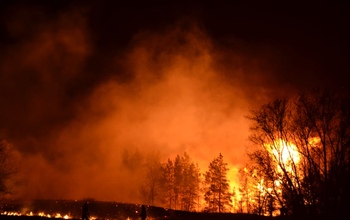 В Соль-Илецком городском округе из-за пожаров ввели режим ЧС