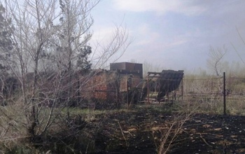 В Соль-Илецке за ночь выгорело более 100 гектаров