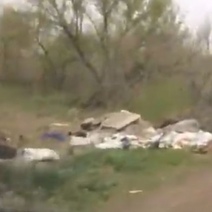 В Оренбурге нерадивые горожане устроили помойку вдоль дороги