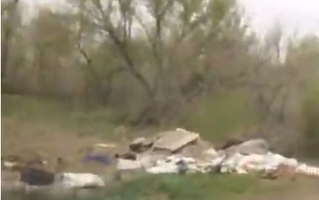 В Оренбурге нерадивые горожане устроили помойку вдоль дороги