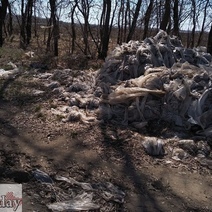 «Повсюду тонны полиэтилена»: бахчеводы Соль-Илецкого района жалуются на «коллег» 