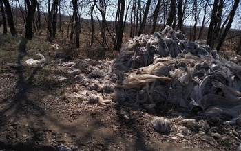 «Повсюду тонны полиэтилена»: бахчеводы Соль-Илецкого района жалуются на «коллег» 