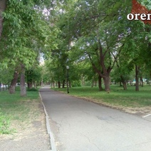 Оренбургские силовики нашли ребенка, за которым не уследила бабушка