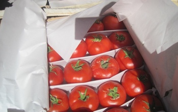 В Оренбуржье развернули обратно 25 фур с продуктами из ближнего зарубежья