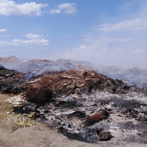 Вслед за новоорской начала тлеть свалка в Ташлинском районе